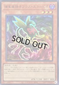 〔状態A-〕捕食植物オフリススコーピオ【ウルトラ】{BLZD-JPS10}《モンスター》