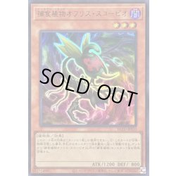 画像1: 捕食植物オフリススコーピオ【ウルトラ】{BLZD-JPS10}《モンスター》