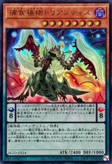 捕食植物トリアンティス【ウルトラ】{BLZD-JPS14}《モンスター》