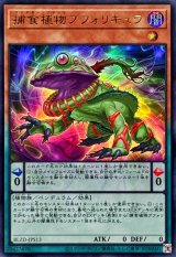 捕食植物ブフォリキュラ【ウルトラ】{BLZD-JPS13}《モンスター》