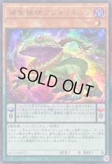 〔状態A-〕捕食植物ブフォリキュラ【ウルトラ】{BLZD-JPS13}《モンスター》