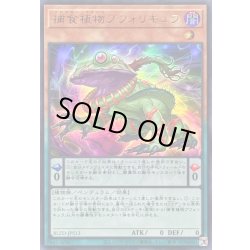 画像1: 〔状態B〕捕食植物ブフォリキュラ【ウルトラ】{BLZD-JPS13}《モンスター》