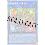 〔状態B〕四花繚乱の霊使い【プリズマティックシークレット】{BLZD-JP050}《リンク》