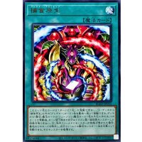 捕食原生【レア】{BLZD-JP055}《魔法》