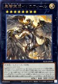 黒智天至イリスフィール【レア】{BLZD-JP048}《エクシーズ》