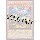 〔状態A-〕耀聖の風詩レギナ【シークレット】{BLZD-JP014}《モンスター》