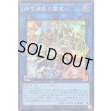 〔状態B〕四花繚乱の霊使い【シークレット】{BLZD-JP050}《リンク》