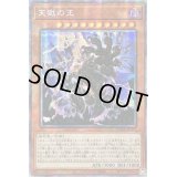 ☆アジア☆天獄の王【プリズマティックシークレット】{アジアBODE-JP030}《モンスター》