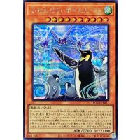 〔状態A-〕ふわんだりぃずえんぺん【シークレット】{BODE-JP017}《モンスター》