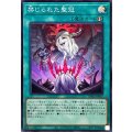禁じられた聖冠【スーパー】{BPRO-JP067}《魔法》
