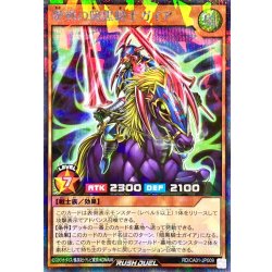画像1: 歴戦の暗黒騎士ガイア【シークレットパラレル】{RD/CA01-JP009}《RDモンスター》