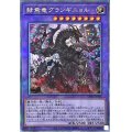 〔状態A-〕赫焉竜グランギニョル【クォーターセンチュリーシークレット】{CF01-JP136}《融合》