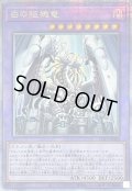 〔状態A-〕白の枢機竜【クォーターセンチュリーシークレット】{CF01-JP000}《融合》