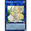 神聖魔皇后セレーネ【ノーマル】{CH02-JP049}《リンク》