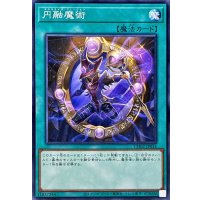 円融魔術【ノーマル】{CH02-JP034}《魔法》