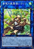 蒼翠の風霊使いウィン【ノーマルパラレル】{CH02-JP044}《リンク》