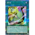 〔状態B〕調律【クォーターセンチュリーシークレット】{QCCU-JP056}《魔法》