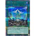 〔状態A-〕RRネスト【クォーターセンチュリーシークレット】{QCCU-JP161}《魔法》