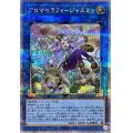 〔状態A-〕アロマセラフィジャスミン【クォーターセンチュリーシークレット】{QCCU-JP166}《リンク》