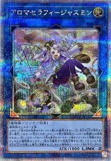 〔状態A-〕アロマセラフィジャスミン【クォーターセンチュリーシークレット】{QCCU-JP166}《リンク》
