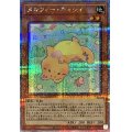 メルフィーキャシィ【クォーターセンチュリーシークレット】{QCCU-JP172}《モンスター》