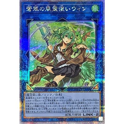 〔状態A-〕蒼翠の風霊使いウィン【クォーターセンチュリーシークレット】{QCCU-JP188}《リンク》