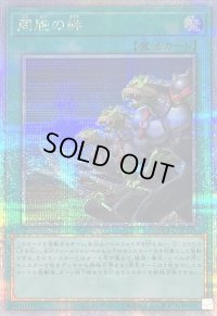 〔状態B〕同胞の絆【クォーターセンチュリーシークレット】{QCCU-JP197}《魔法》