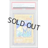 〔PSA10鑑定済〕アクアマドール(STARTERBOX劇場限定発売版)【ノーマル】{-}《モンスター》