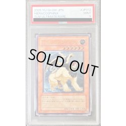 画像1: 〔PSA9鑑定済〕ヒエラコスフィンクス【レリーフ】{TLM-JP012}《モンスター》