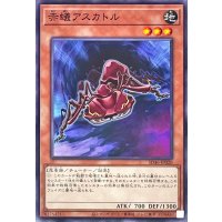 赤蟻アスカトル【ノーマル】{SD46-JP020}《モンスター》