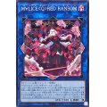 M∀LICEQREDRANSOM【ノーマル】{DBCB-JP018}《リンク》