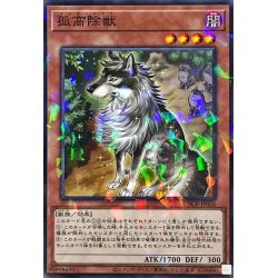 画像1: 孤高除獣【ノーマルパラレル】{DBCB-JP026}《モンスター》