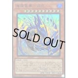 〔状態A-〕海瀧竜華淵巴【スーパー】{DBCB-JP032}《モンスター》