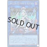 〔状態B〕M∀LICEQWHITEBINDER【シークレット】{DBCB-JP019}《リンク》