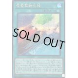 〔状態B〕登竜華転生紋【シークレット】{DBCB-JP036}《魔法》