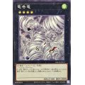 竜巻竜【ノーマル】{DBCB-JP013}《エクシーズ》