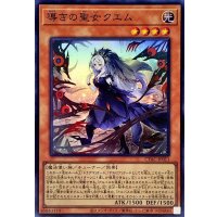 導きの聖女クエム【スーパー】{CYAC-JP011}《モンスター》