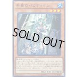 〔状態B〕神樹のパラディオン【ノーマル】{CYHO-JP007}《モンスター》