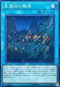 星遺物の醒存【ノーマル】{CYHO-JP060}《魔法》