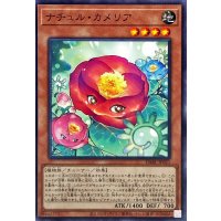 ナチュルカメリア【ノーマル】{DABL-JP021}《モンスター》
