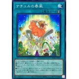 ナチュルの春風【ノーマル】{DABL-JP064}《魔法》