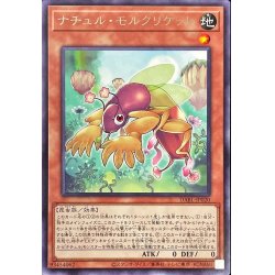 画像1: ナチュルモルクリケット【レア】{DABL-JP020}《モンスター》