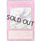 忍法落葉舞【レア】{DABL-JP077}《罠》