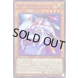 スターダストトレイル【ノーマル】{DAMA-JP003}《モンスター》