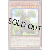 森の聖獣カルピポニカ【ノーマル】{DAMA-JP022}《モンスター》