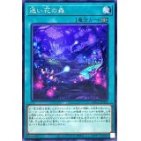 迷い花の森【ノーマル】{DBGC-JP034}《魔法》