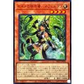 ☆SALE☆セネトの啓示者ネフェルタリ【ウルトラ】{DBGV-JP001}《モンスター》