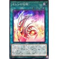 セレンの呪眼【スーパー】{DBIC-JP032}《魔法》
