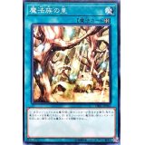 魔法族の里【ノーマル】{DBIC-JP043}《魔法》