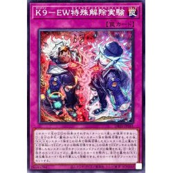 画像1: K9EW特殊解除実験【ノーマル】{DBJH-JP041}《罠》